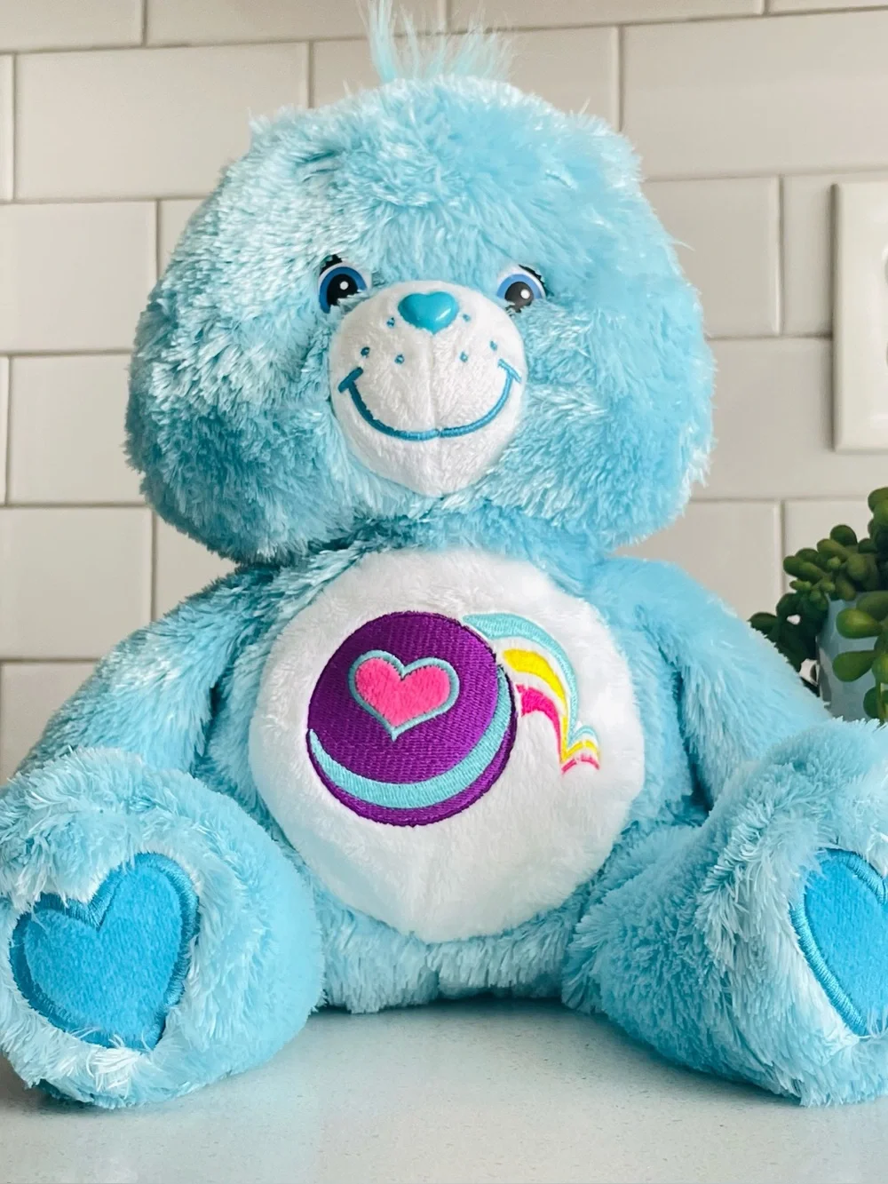 2005 Care Bears Fluffy & Floppy Play A Lot Bear